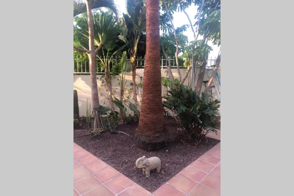 Villa Luis Playa de las Americas  Eksteriør bilde